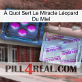 À Quoi Sert Le Miracle Léopard Du Miel 37
